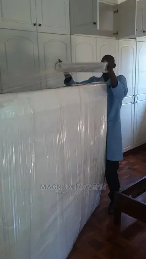 Professional Moving and Storage Services
