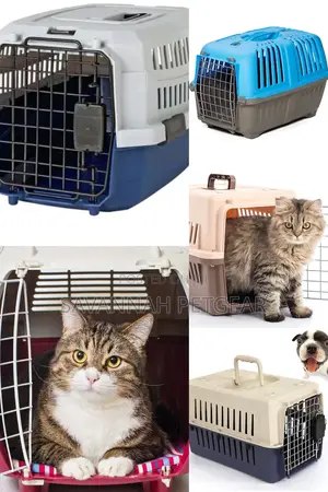 Best Airline Cat Carriers Cat Cages