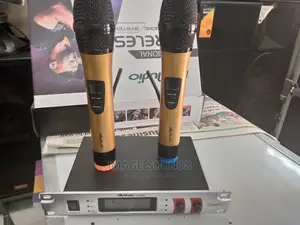 Wireless Mic- Ally Audio 3900