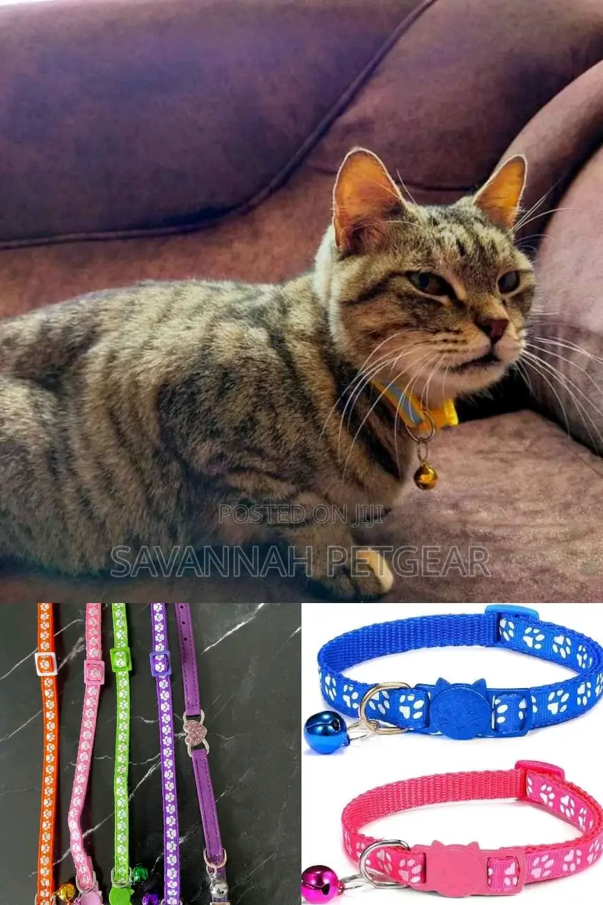 High Quality Cat Collars