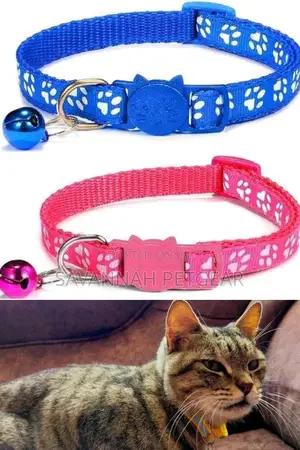 High Quality Cat Collars