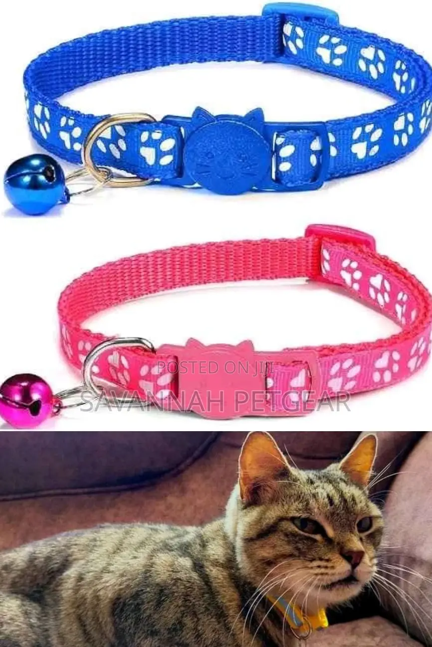 High Quality Cat Collars