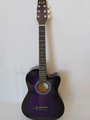 HIH Purle Guitar