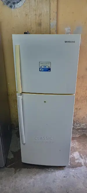 Samsung Fridge