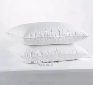White Elegant Pillows
