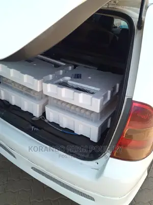 Solar Automatic 104 Ac/Dc Eggs Incubator