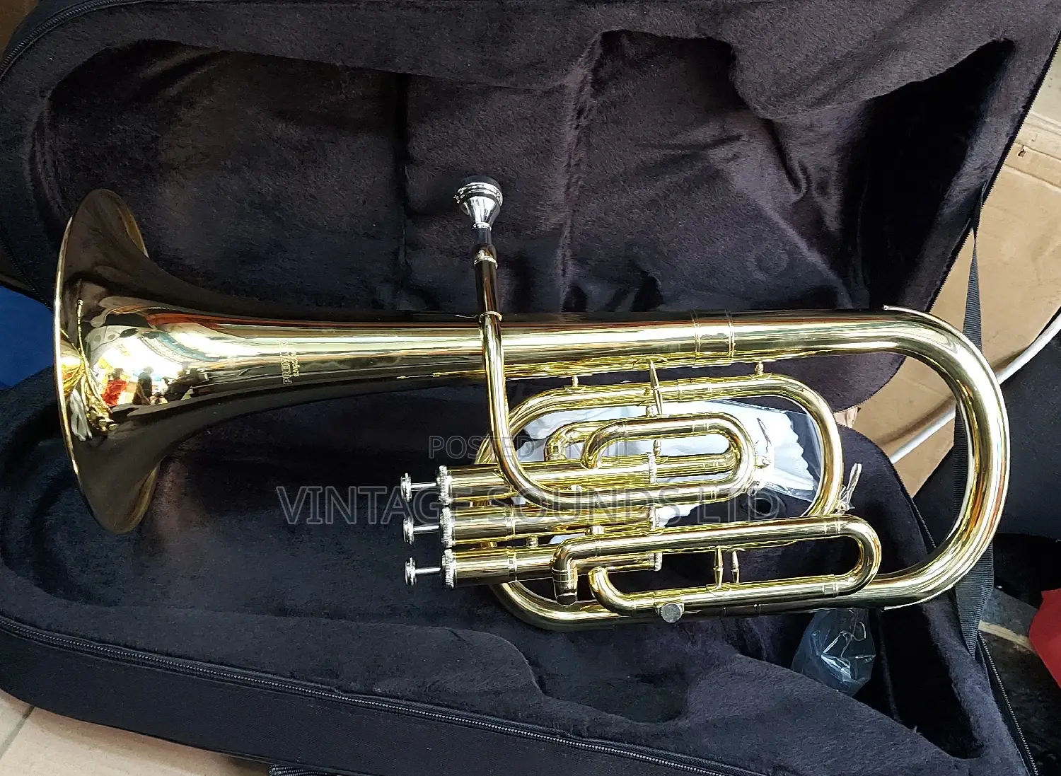 Horn Baritone Instrument