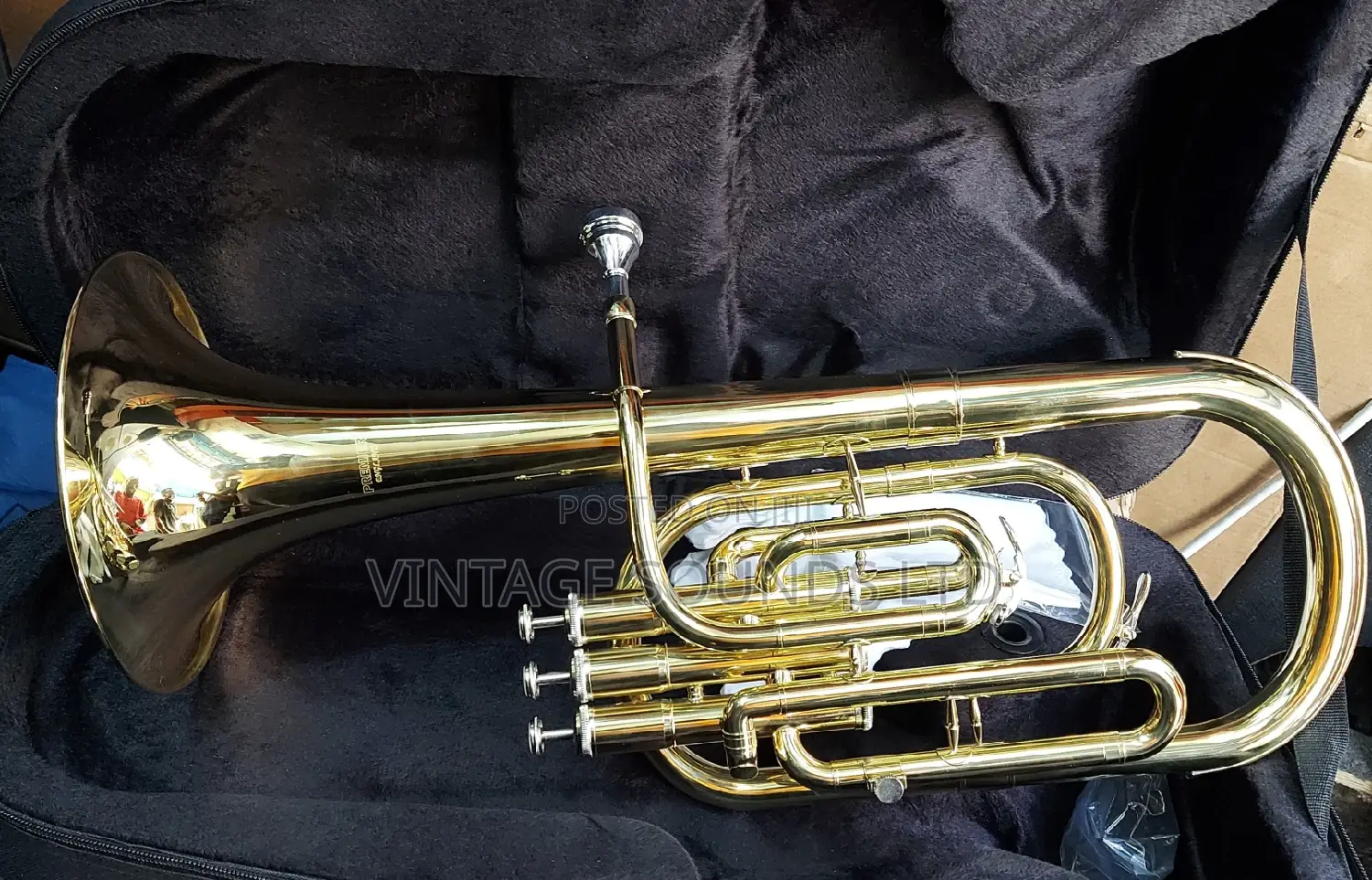 Horn Baritone Instrument