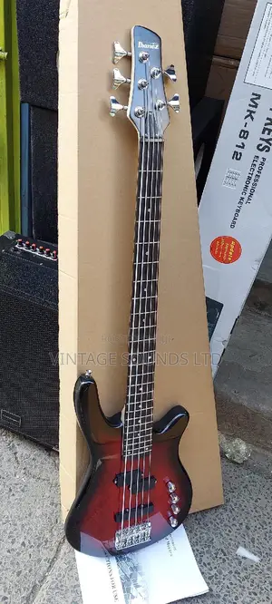 5strings Ibanez Gsr200 Bass Guitar