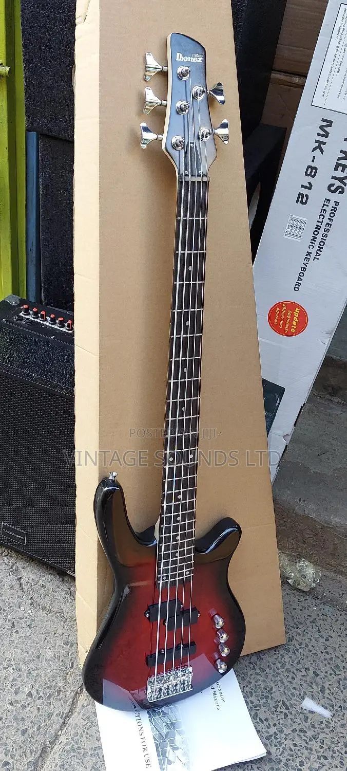 5strings Ibanez Gsr200 Bass Guitar