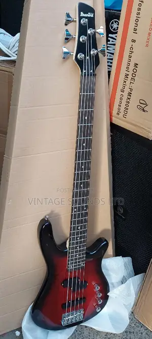 5strings Ibanez Gsr200 Bass Guitar
