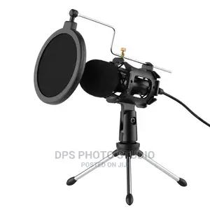 Video/Microphone Stand