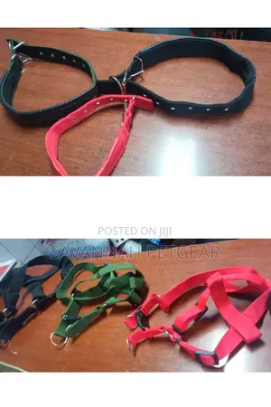 Original German Shepherd Dog Collars Harnesses Heavy Duty