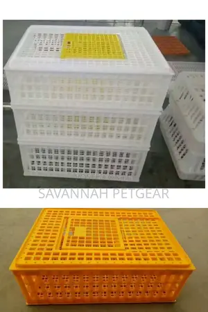 Chicken Transportation Crates