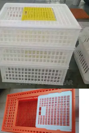 White Chicken Transport Cages