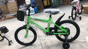 High Quality Kids Bicycle 20"