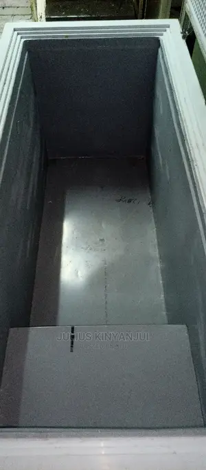 Double Door Freezer 600L