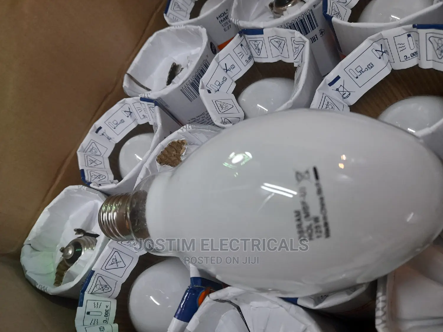 125W Mercury Bulb