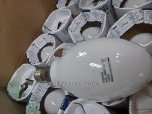 125W Mercury Bulb