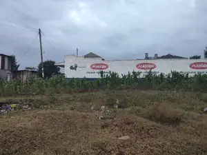 Nyeri/ Gatitu Main Tarmac Plot