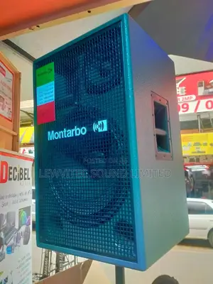 Montarbo 15 Inch Wooden Speaker