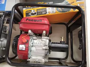 Pacwell Vibrator