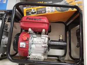 Pacwell Vibrator