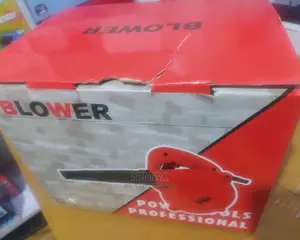 Hand Blower Professional
