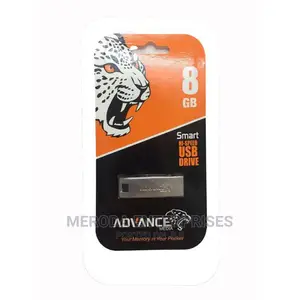 Advance 8GB FLASH DISK - Silver