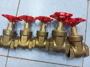 Original Peglar Gate Valve 1no