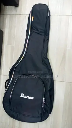 Semi Acoustic Gibson 41