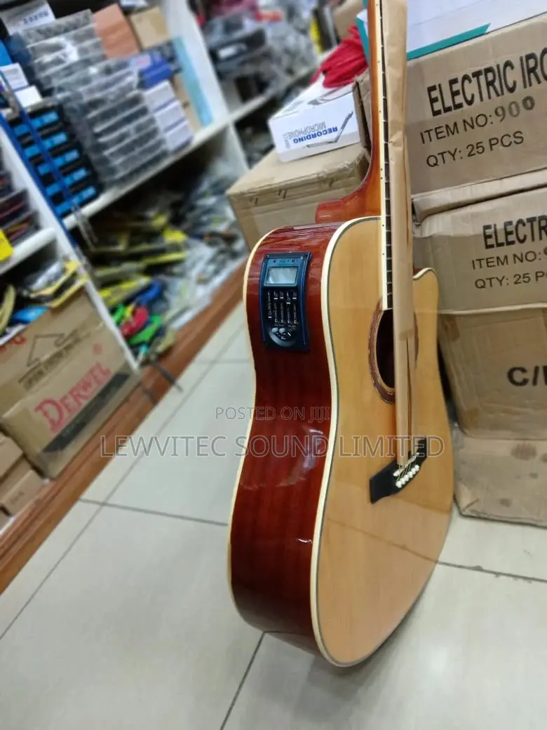 Semi Acoustic Gibson 41