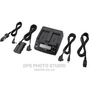 Sony L Charger