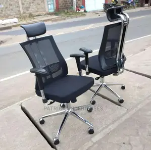 Executive, Orthopedic Office Chair