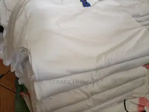 Plain 100% Cotton T-Shirts