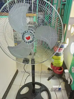 Standing Fan