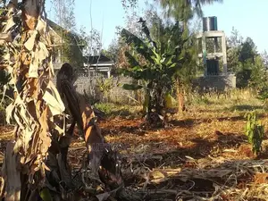 1/4 Acre In Mugumo