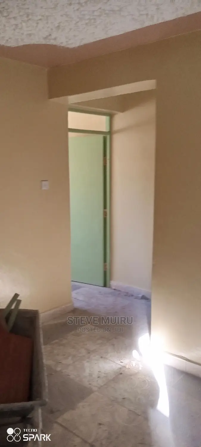 Genuine Painter