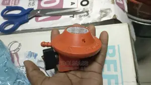 Low Pressure Gas Regulator In Nairobi Kenya