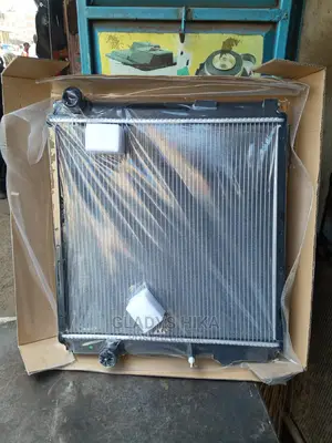 Brand New Radiator for Mitsubish Canter on Sale