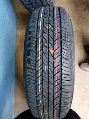 215/60r17 Dunlop Tyre Made in Japan (Grandtrek)