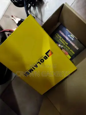 Automatic Electric Lead Acid Battery Charger
