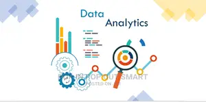 Experienced Data Analyst - SPSS, STATA, EXCEL, & R