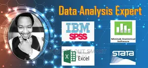 Experienced Data Analyst - SPSS, STATA, EXCEL, & R