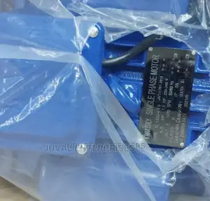 Low Speed Smart Electric Motor