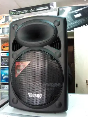 Powered Speaker Vecaro 15"