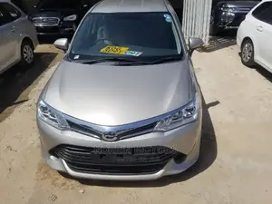 Toyota Axio 2015 Gray