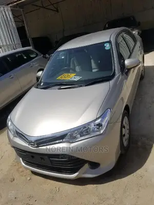 Toyota Axio 2015 Gray