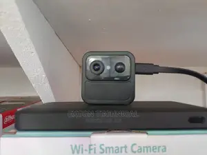 Nanny Camera