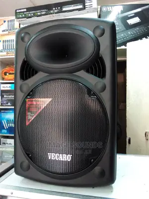 Powered Speaker 15"